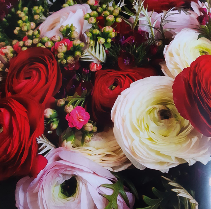 Conseils Personnalisés - Exotic Fleurs
